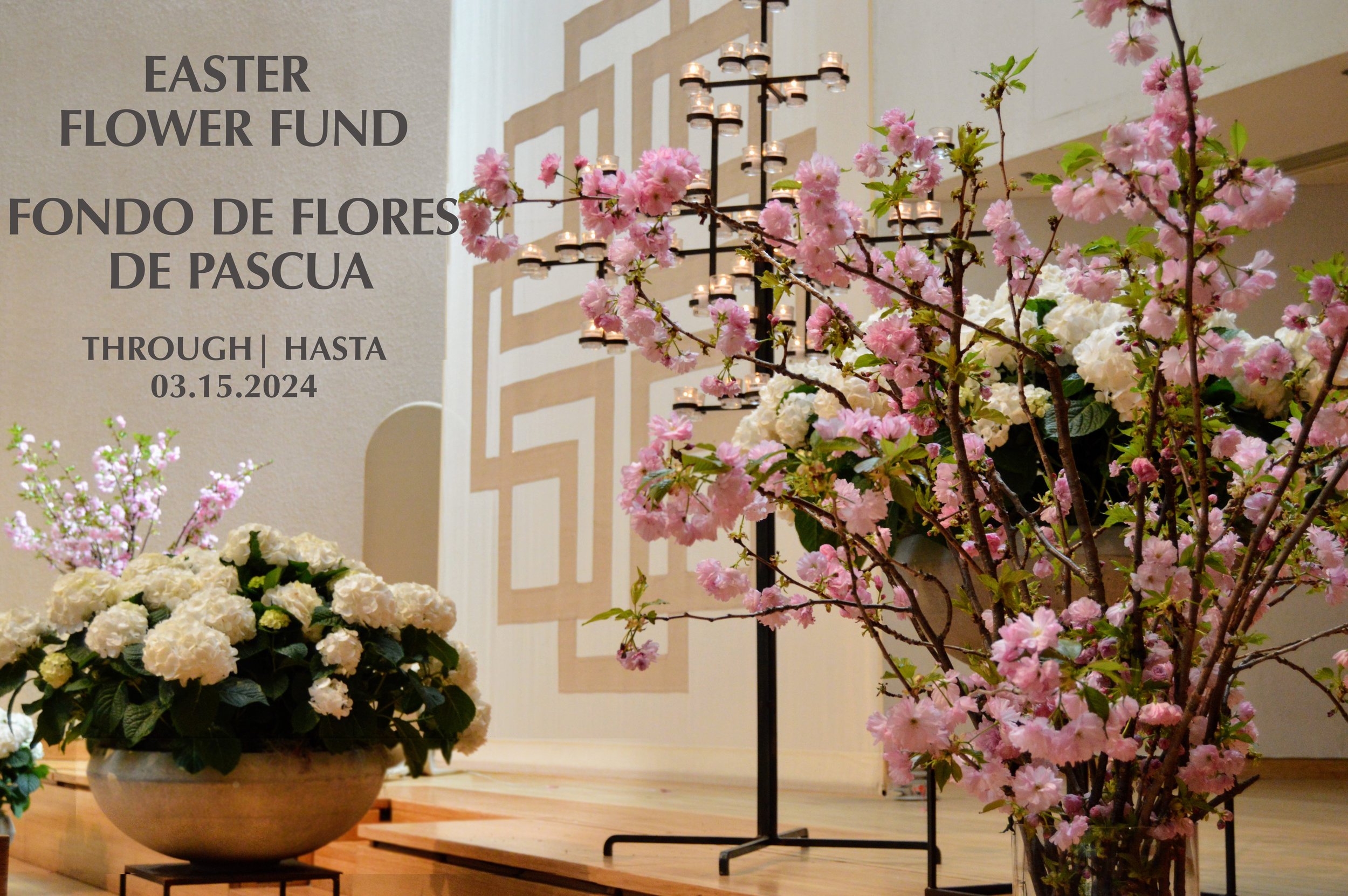 Easter Flower Fund | Live Now