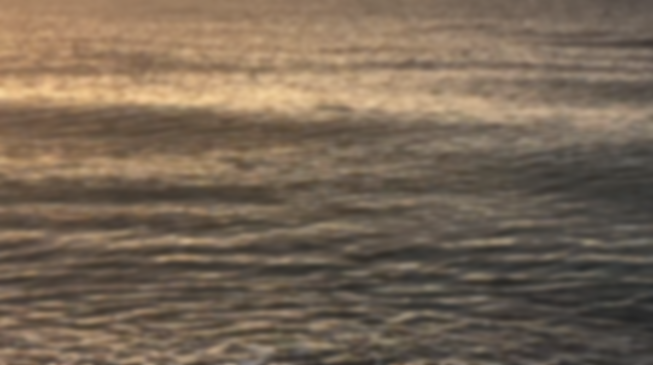 kenneysbeachfloat.png