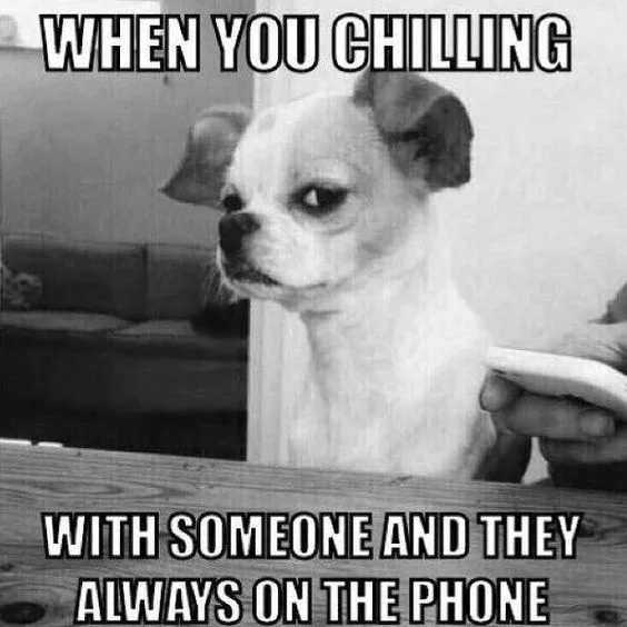 A photo of a small dog sneering at the camera with the words around it, “When you chilling with someone and they always on the phone.”