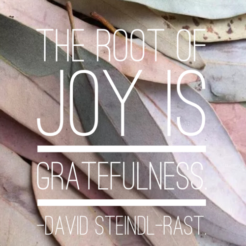 A photo of multi-colored leaves overlapping with the words, “The root of joy is gratefullness. - David Steindl - Rast.”