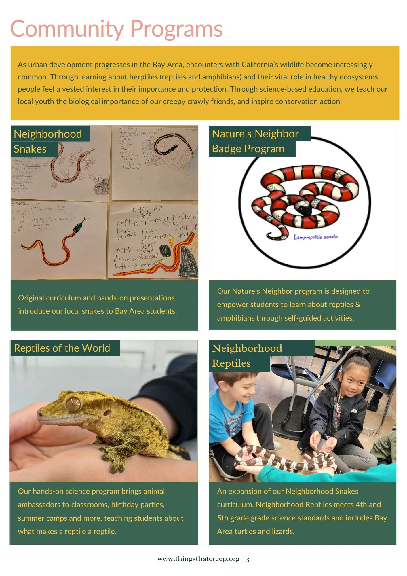 TTC Annual Report 2024 (2).jpg