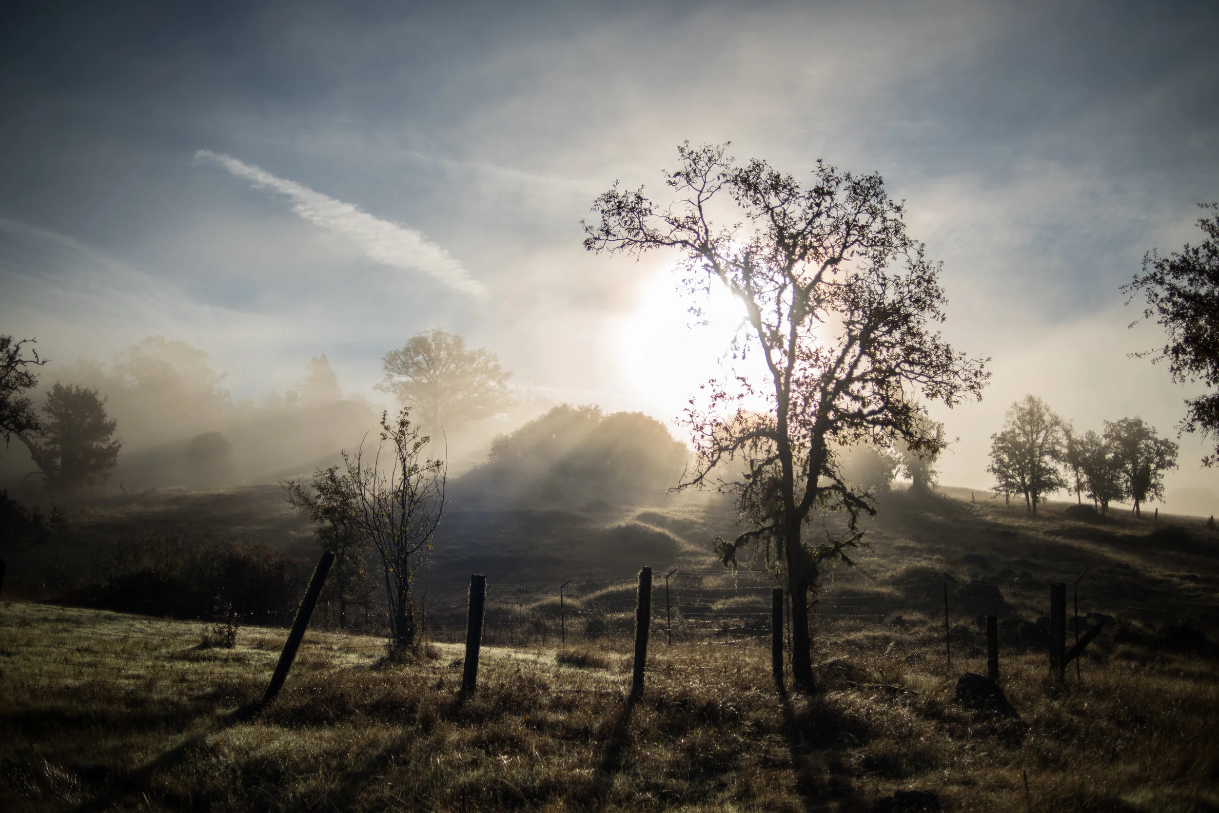 Foggy morning in Willits