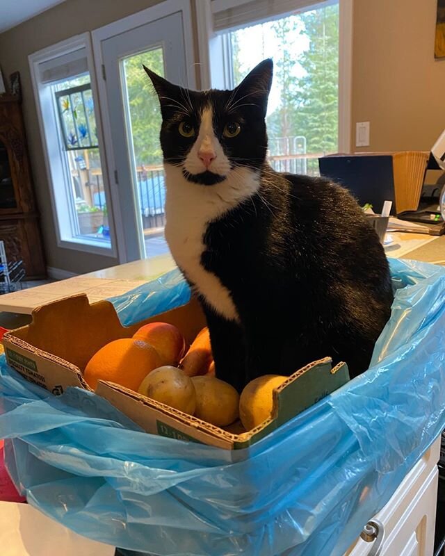 Thanks Long Table Grocery for taking the extra care with our Harvest Box full of fruits and veggies! Enjoyed by the whole family! The apples are beautiful and crisp this morning, just what the Dr ordered.