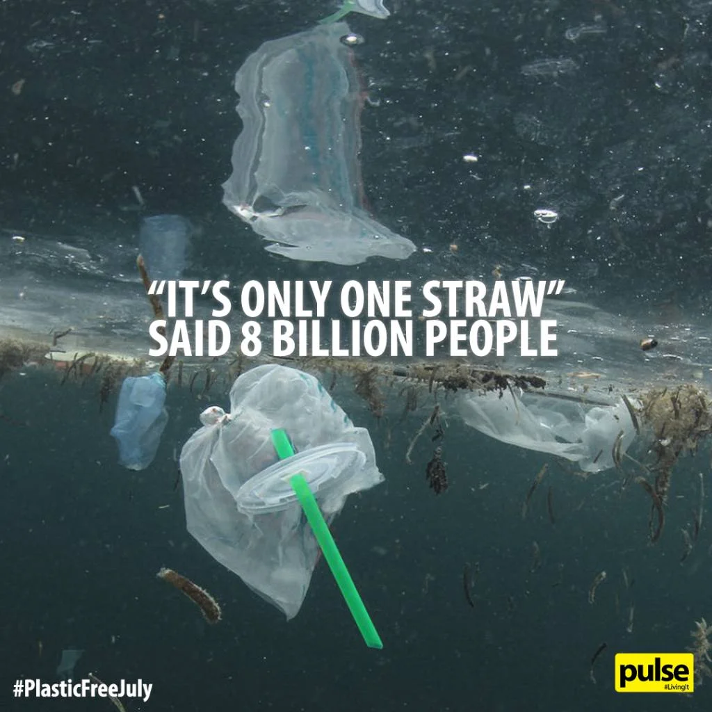 PLASTIC-STRAW1-1024x1024.jpg