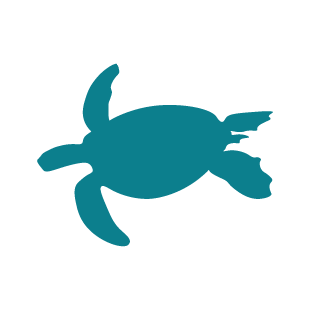 Sea Turtle Pack