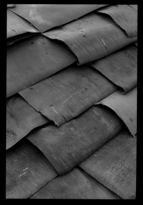 birch-bark-489x700.jpg