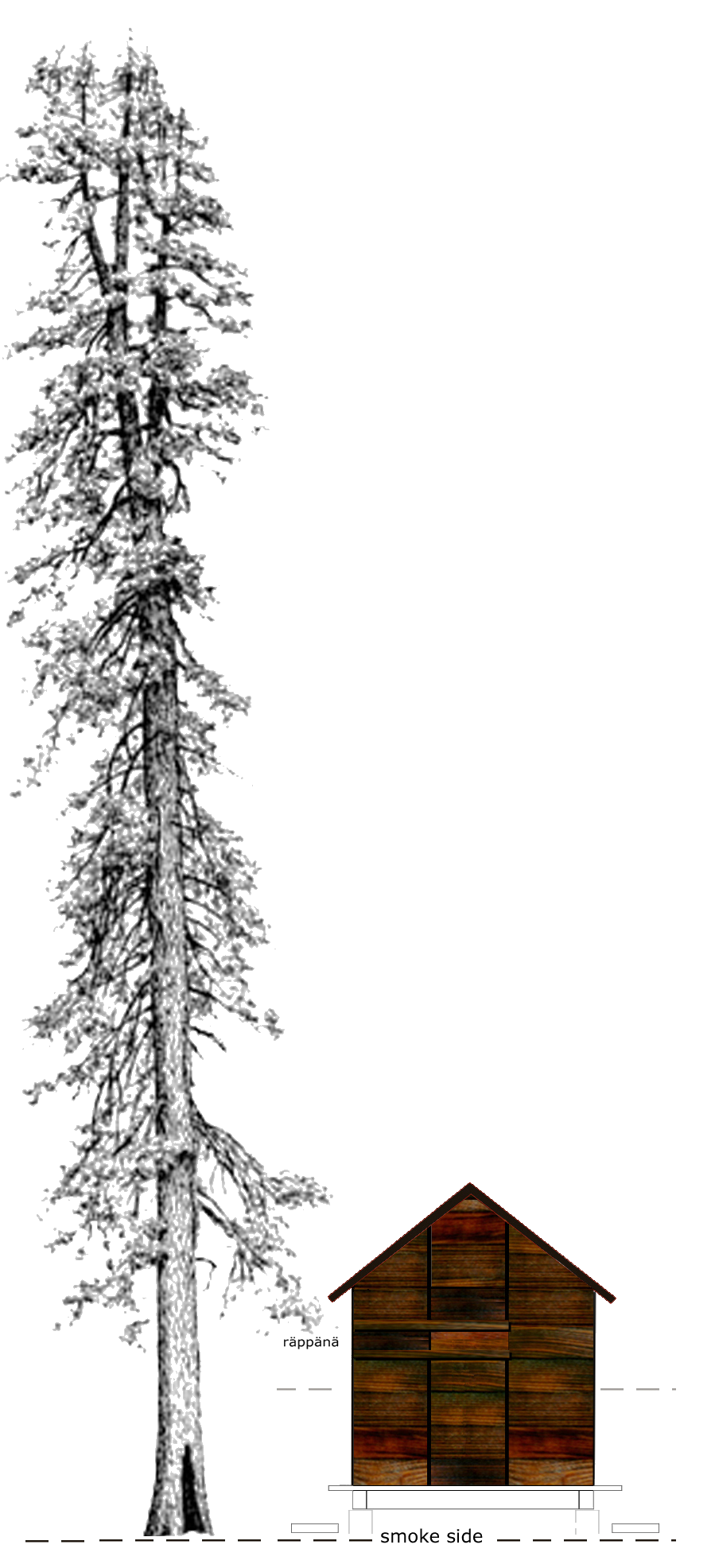 SAUNA_SIDE_ELEV_TREE.png