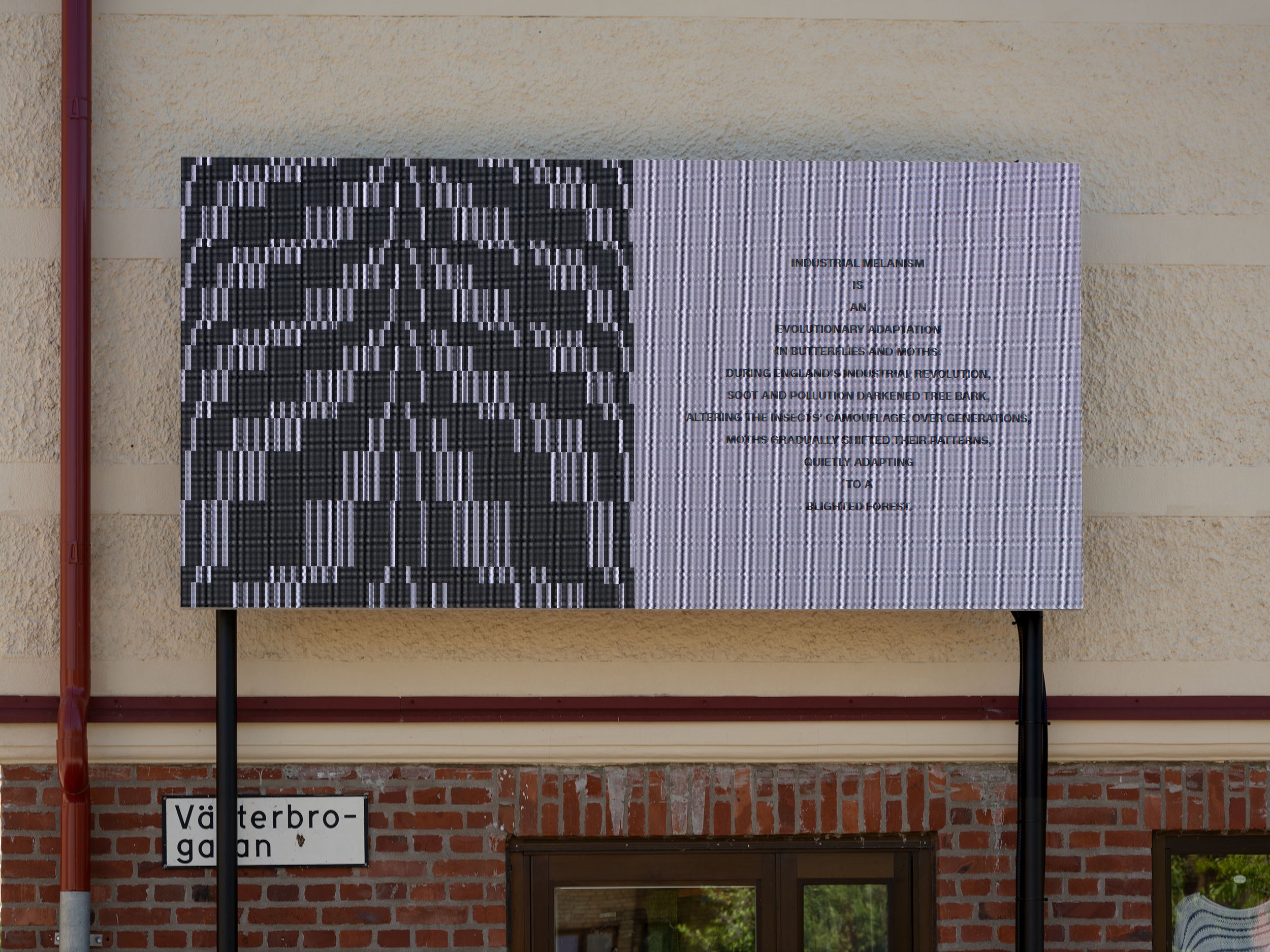 Nanna_Debois_Buhl-Shape_Shifters-2026-Photo-Hendrik_Zeitler_DSF9165_web.jpg