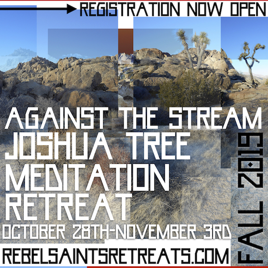 joshuatree2019fallscratchWEBsmallest.jpg