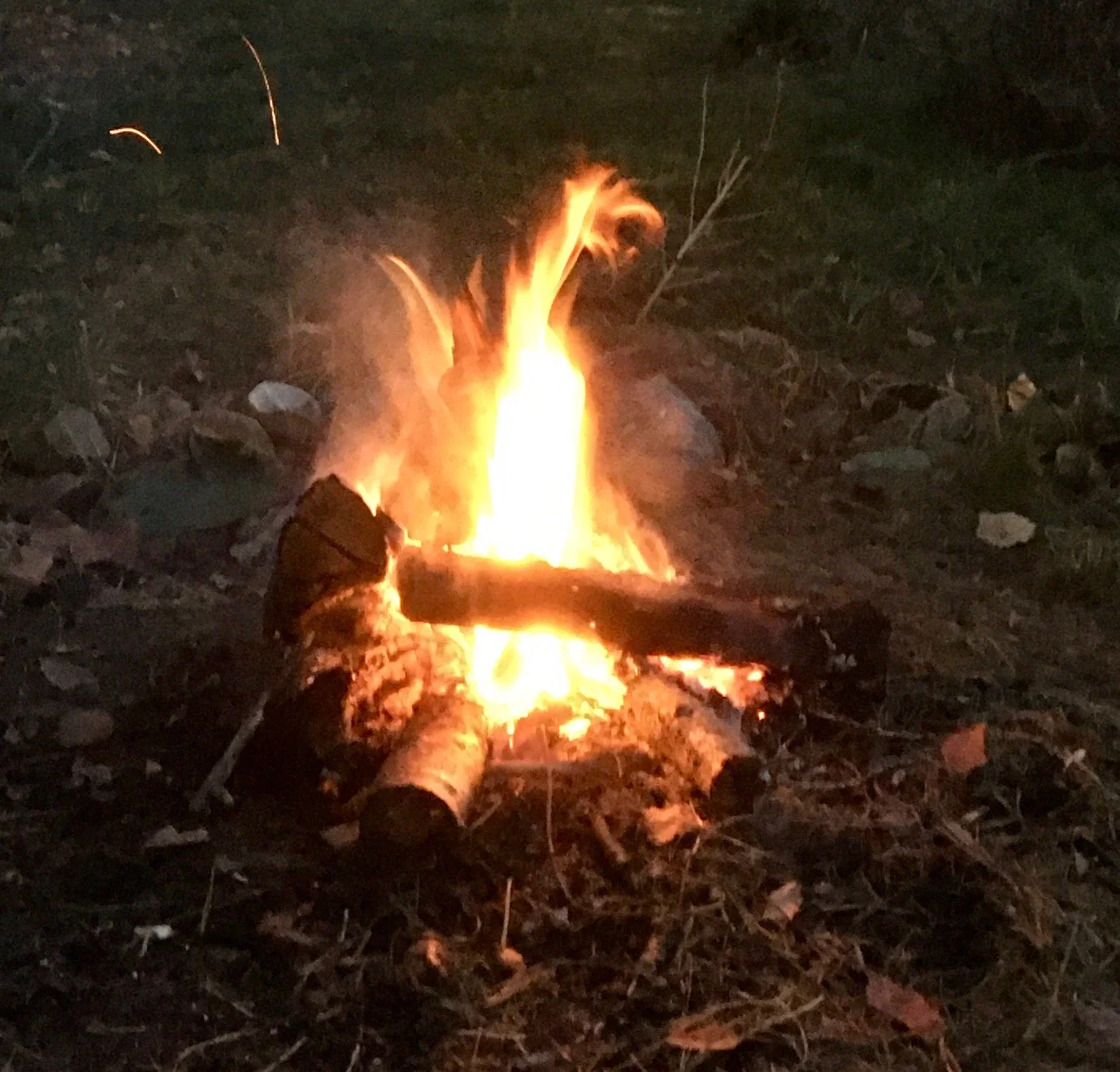 Dragonfire Scorpio New Moon