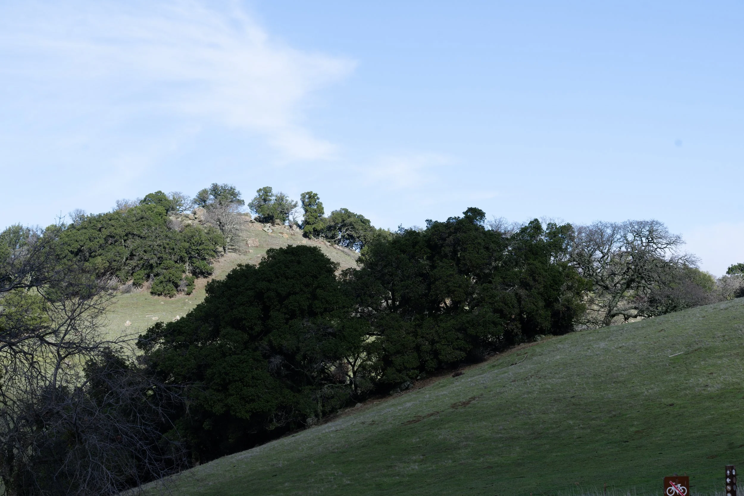 Morgan Territory Regional Preserve