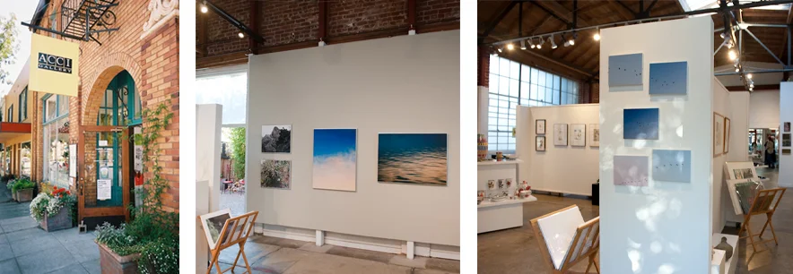 Growing Wild Photos - in Print at ACCI Gallery