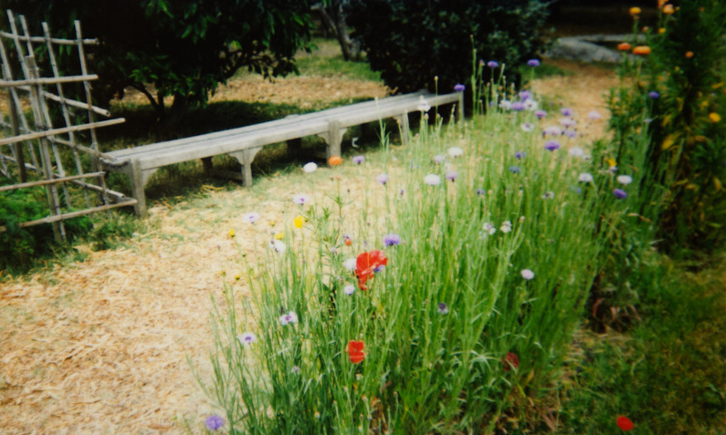 Edible Schoolyard