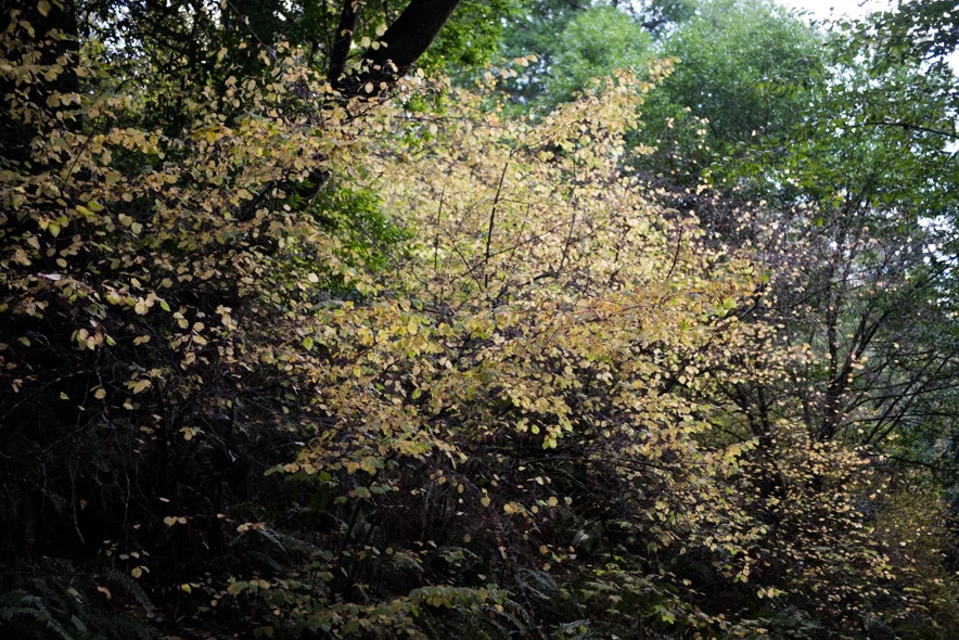 DSC_0818.jpg