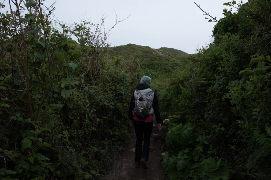 Coast Trail Detour