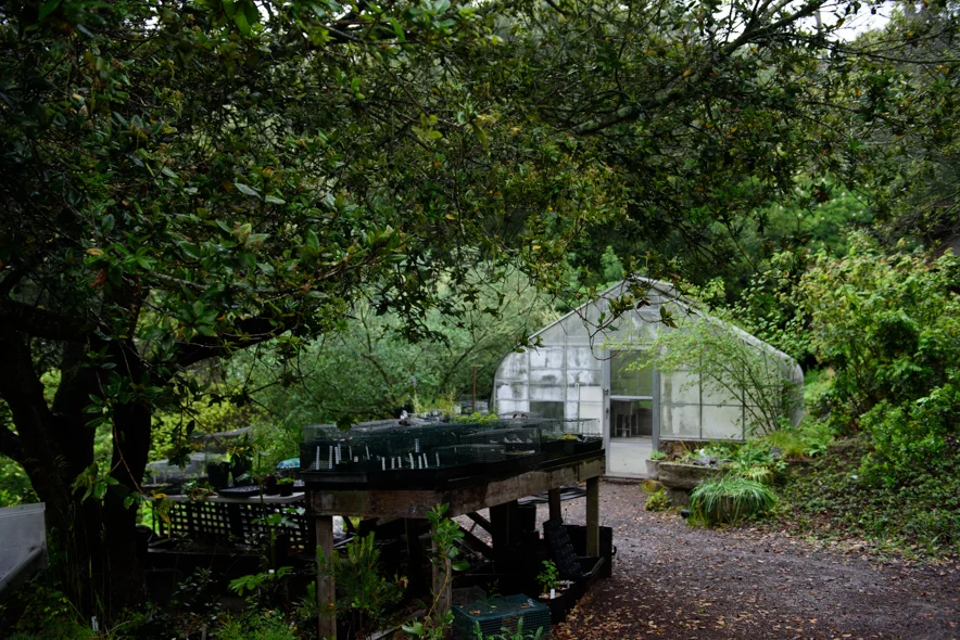 Greenhouse and potting table