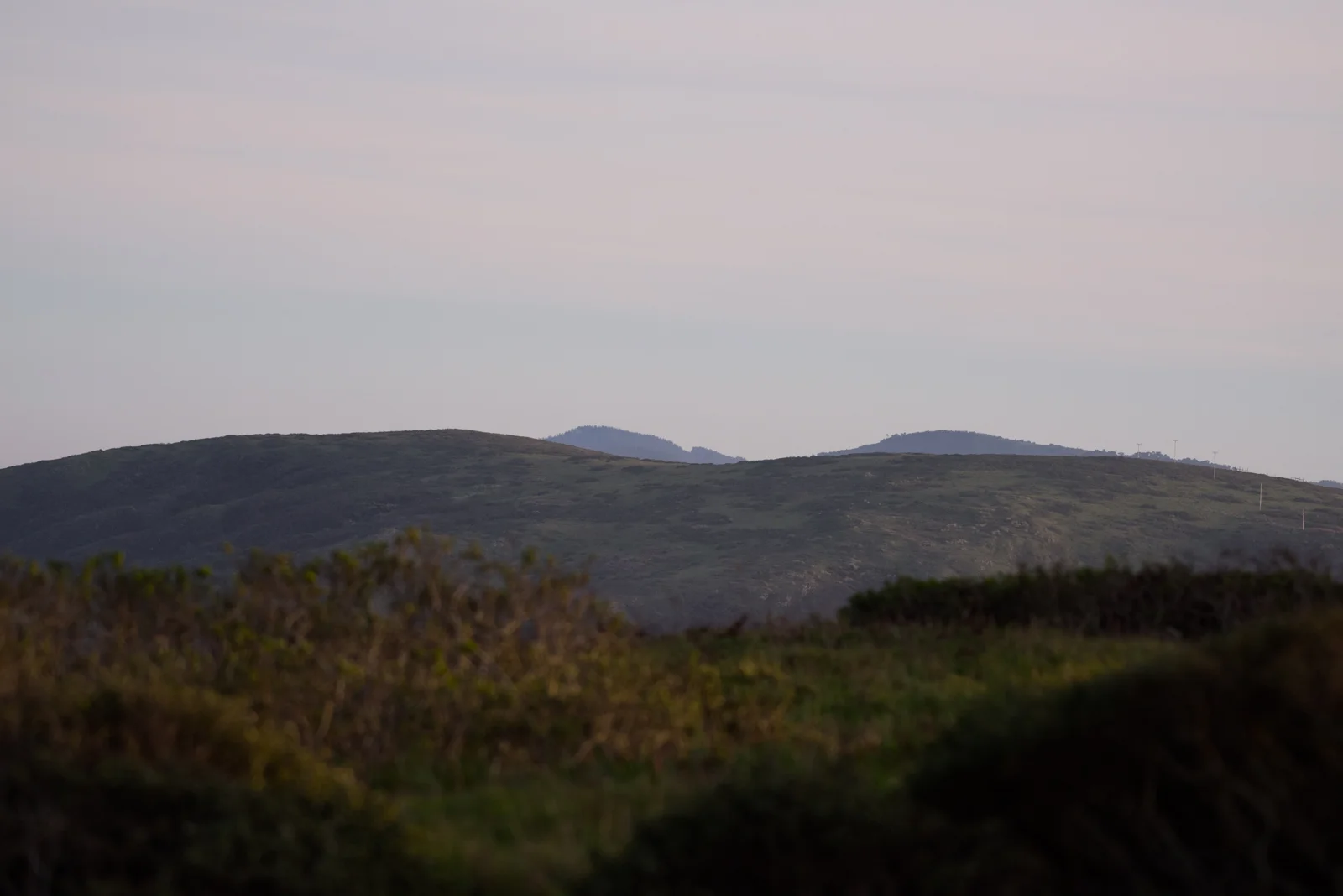 View looking south along Tomales Point