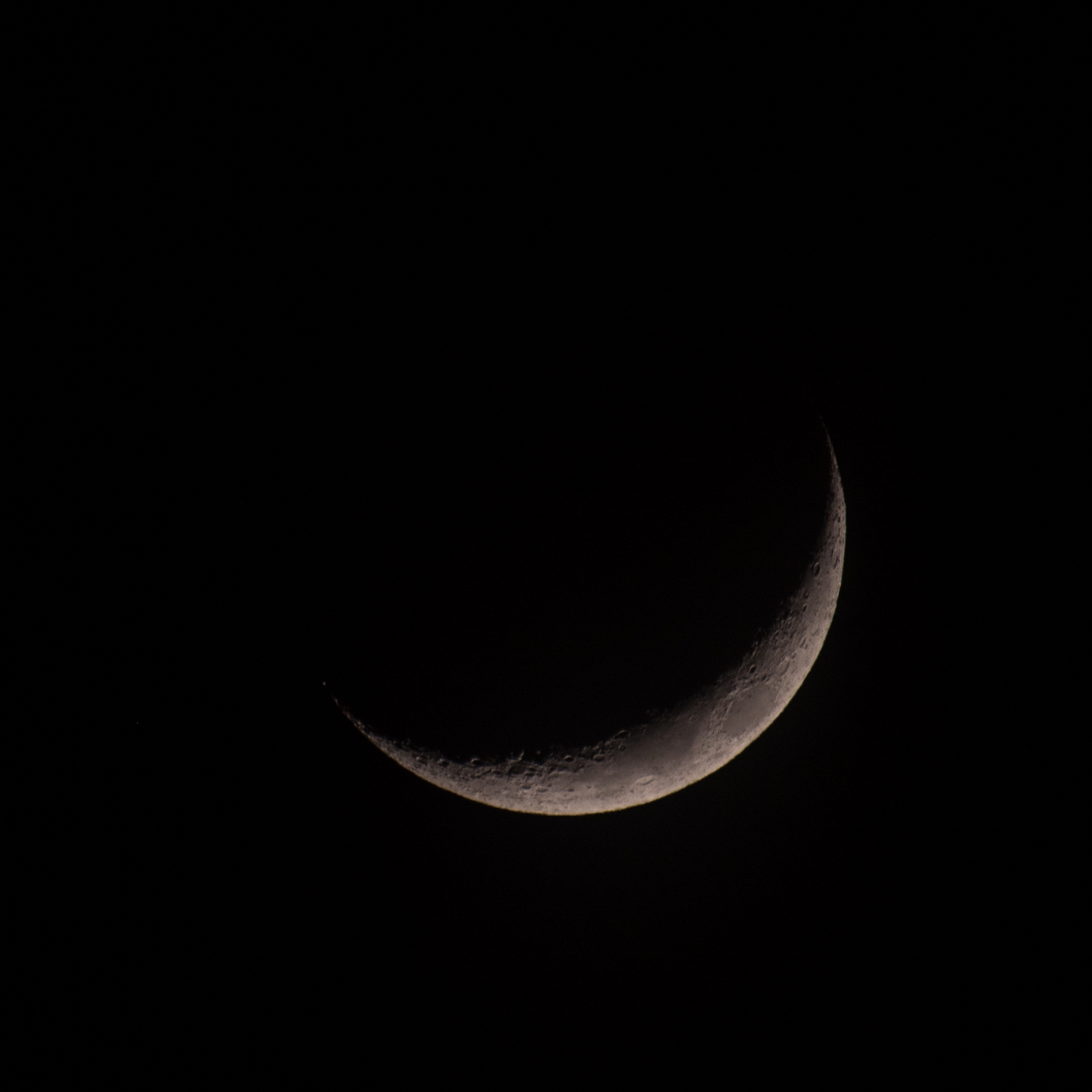 DSC_8506.jpg