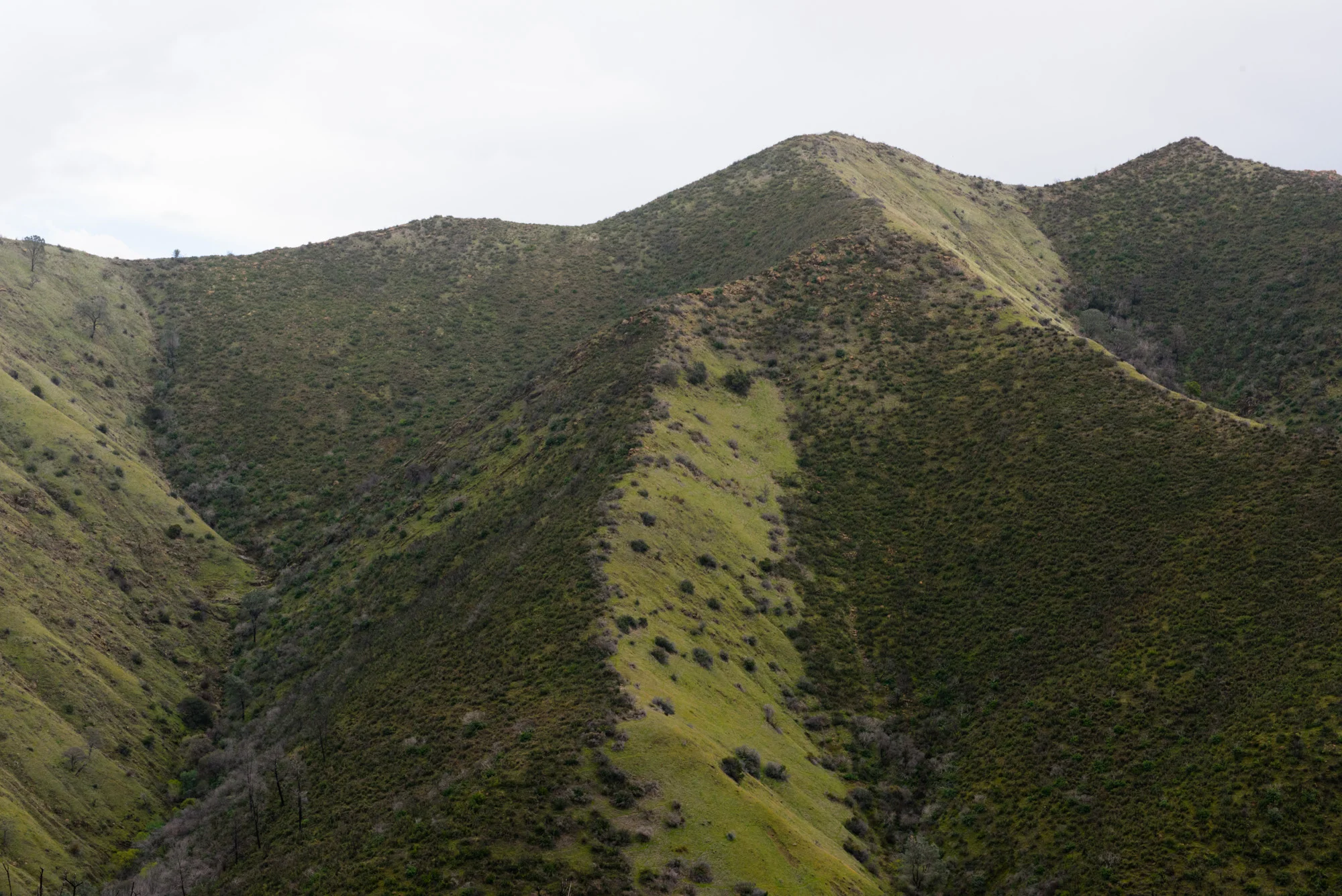 DSC_6767.jpg