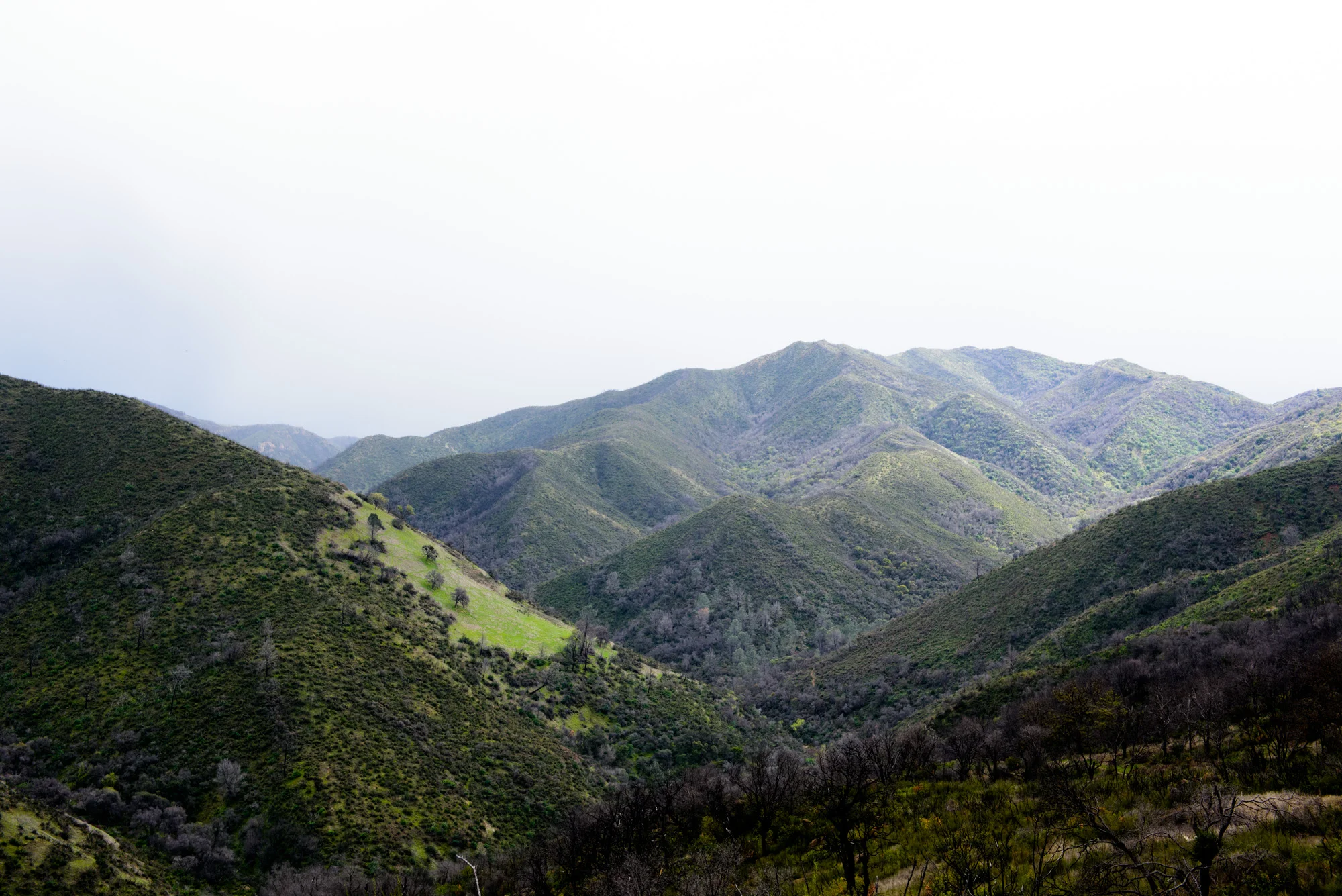 DSC_6773.jpg
