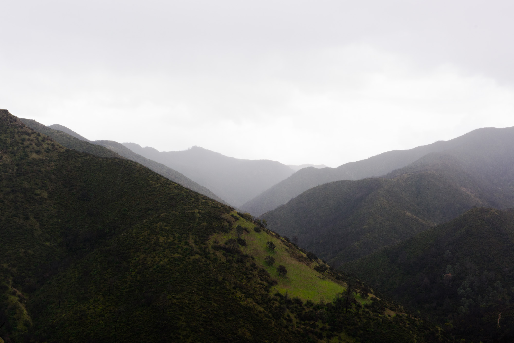 The rain was coming down pretty hard when I snapped this photo. The result was decreased clarity; the ridge lines appear as outlines, each with their own shade. 