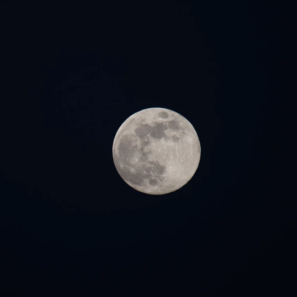 DSC_9082.jpg