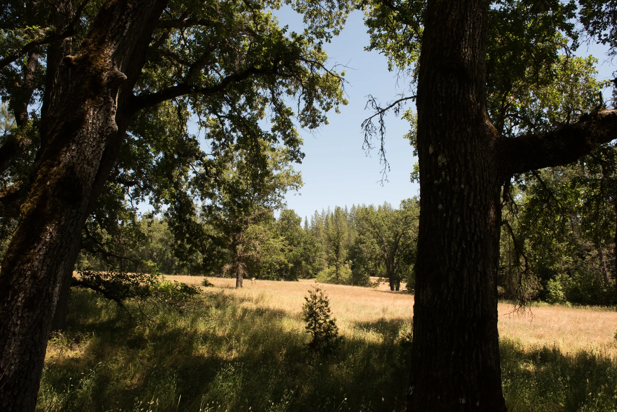 DSC_0780.jpg