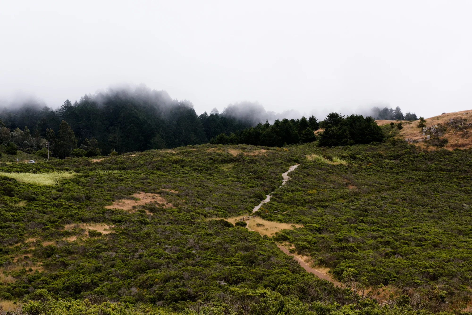 DSC_7359.jpg