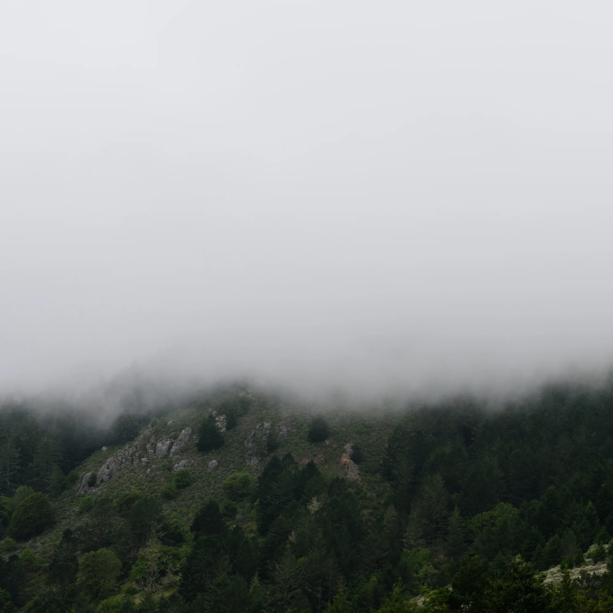 DSC_7358.jpg