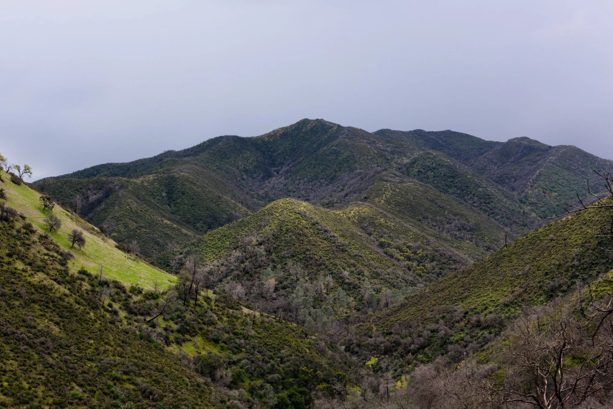 Stebbins Cold Canyon Reserve