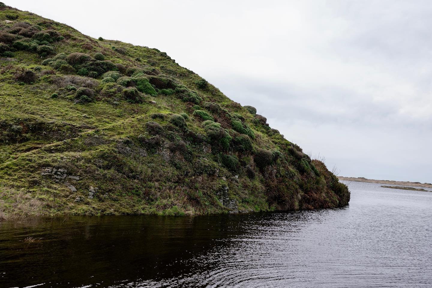 Shades of green and signs of spring at the coast