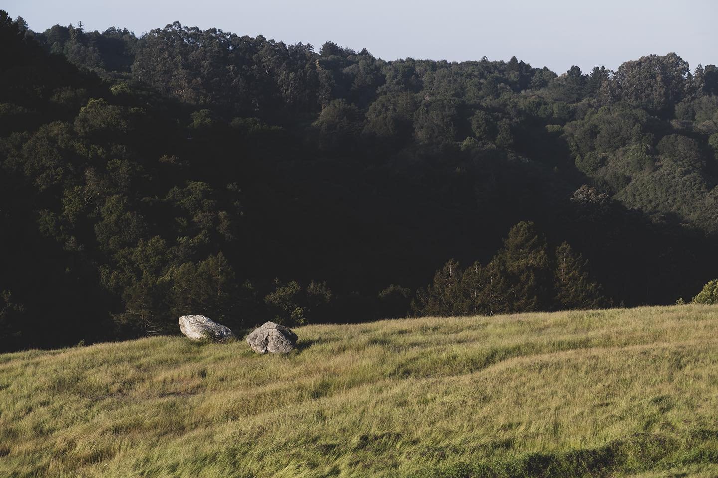 Serpentine Prairie