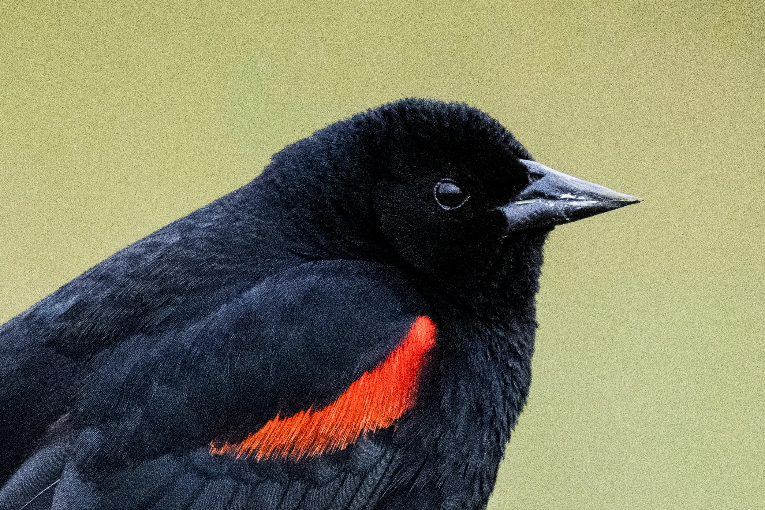 DSC_5682.jpg