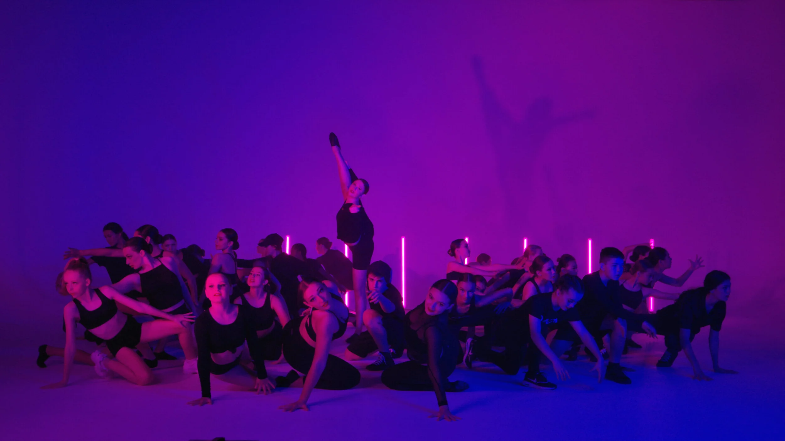 Promo Video - Roughcut 4K.00_01_06_03.Still003.jpg