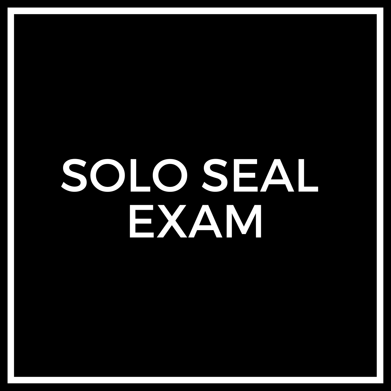 SOLO SEAL.png