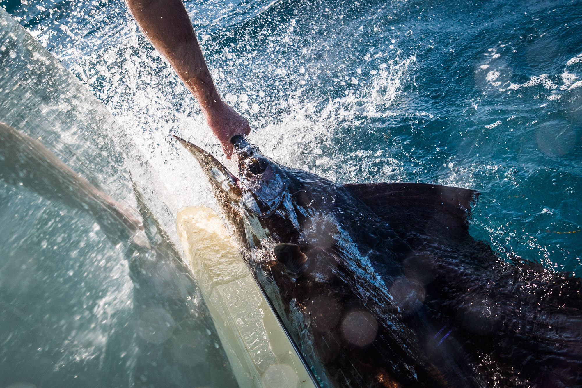 Islamorada_20171219_A7SII_0020.jpg