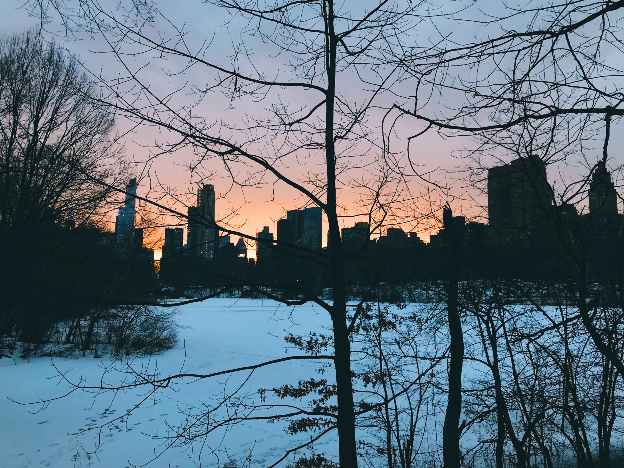 NYC 2018.jpeg