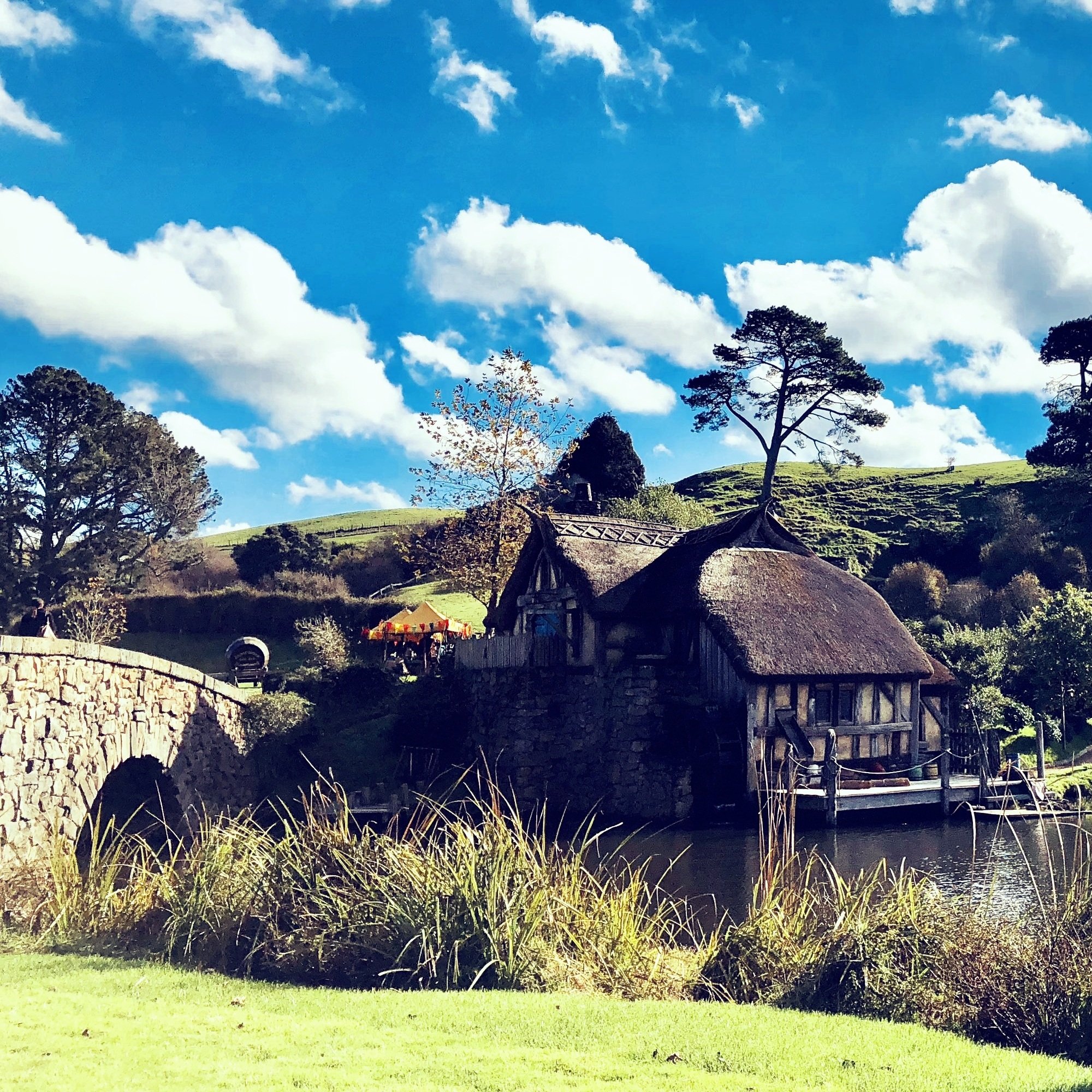 Hobbit Your Way