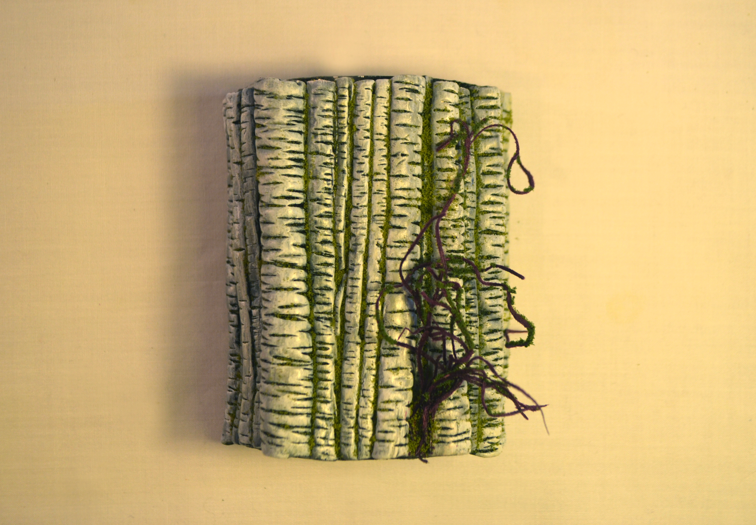 Birch_bark_04.png