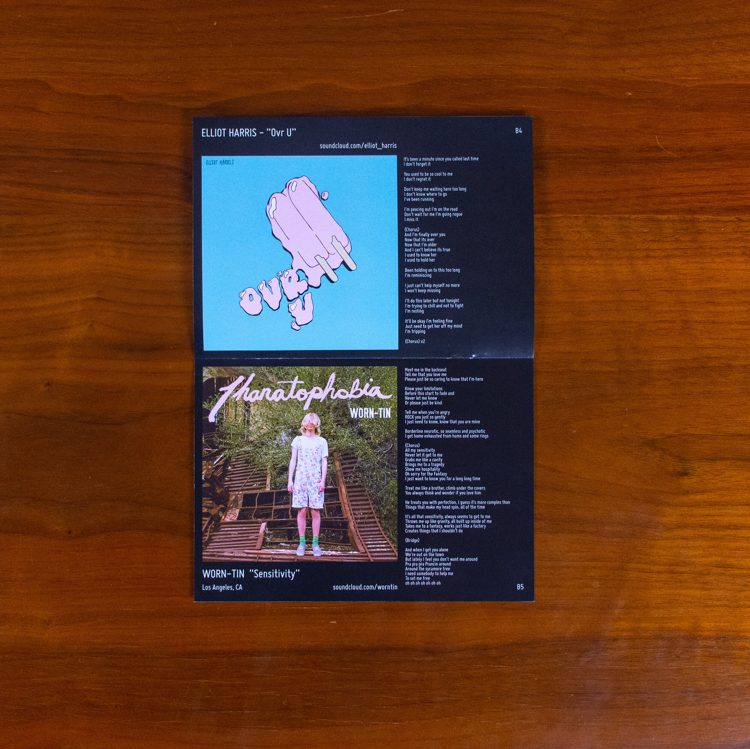 VID_0164-PIC_010-Booklet1-Pages 12-13.jpg
