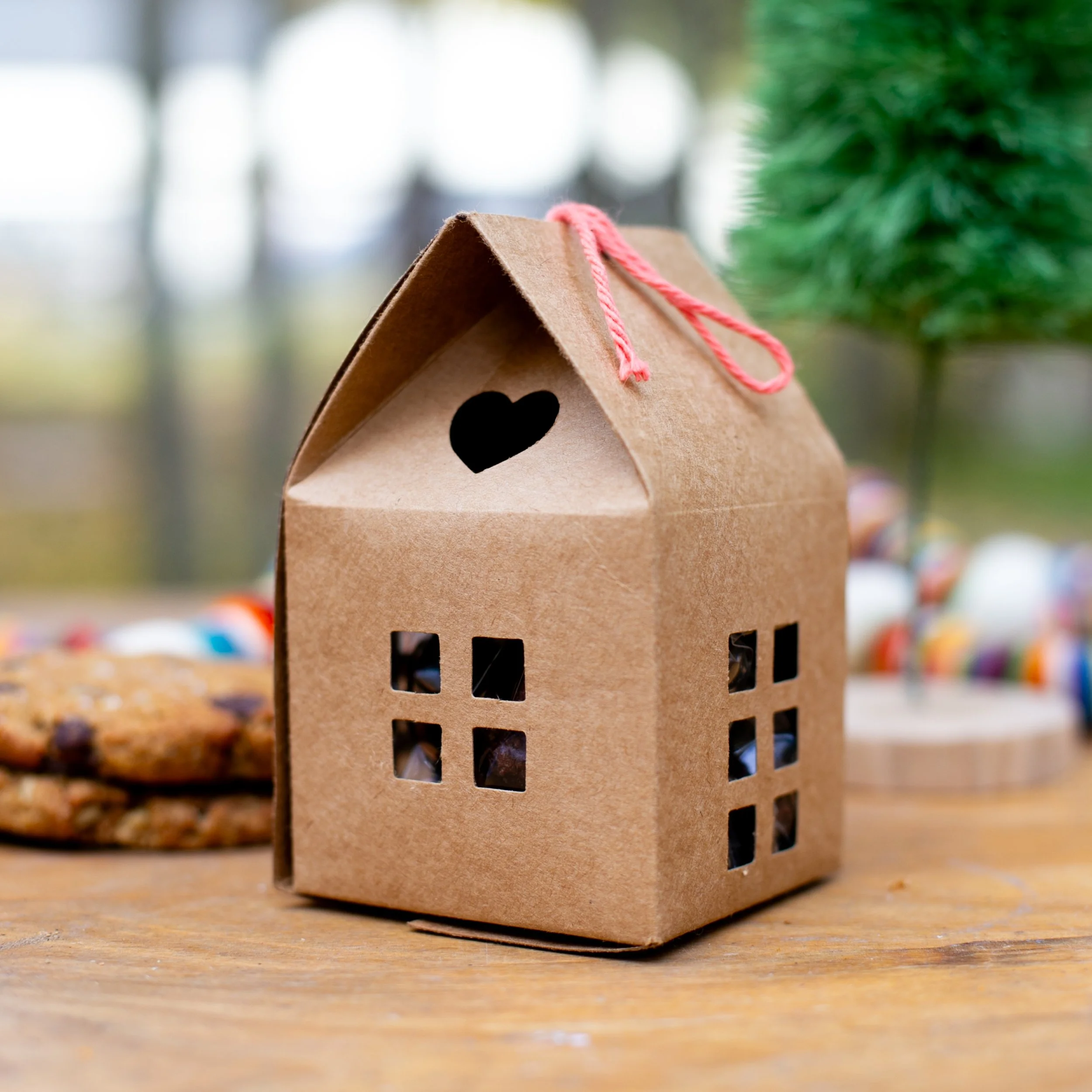 rawmona's kitchen - holiday cabin - gluten free cookie boxes-16.jpg