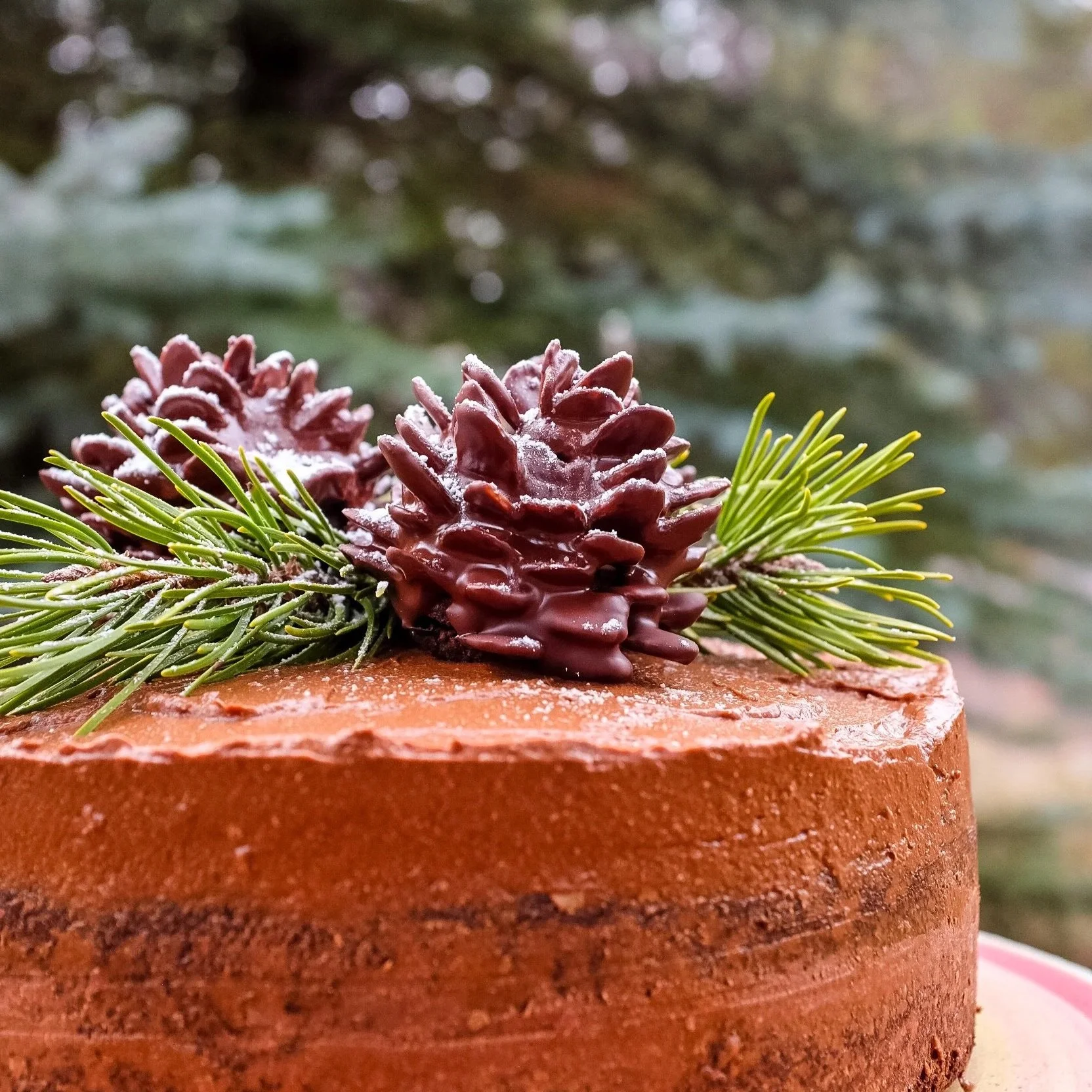 rawmonas+kitchen+cacao+christmas+cake-09.jpg