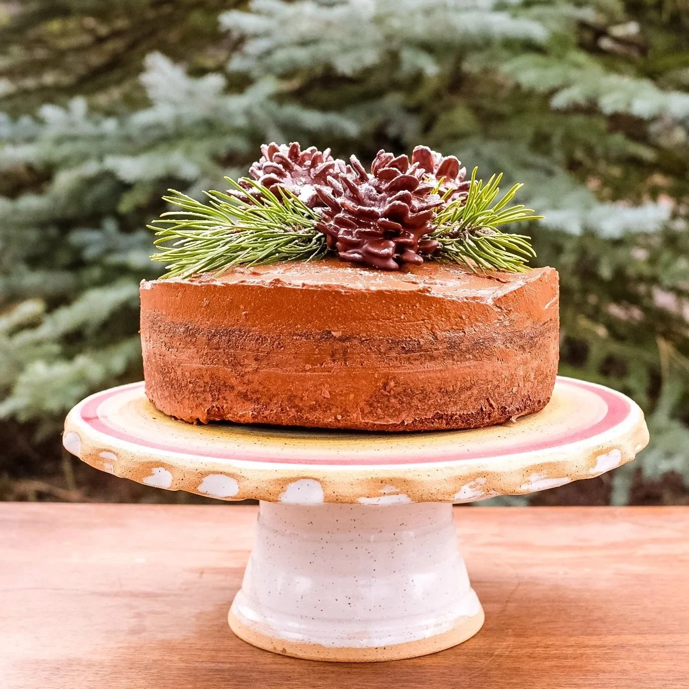 Cacao (Chocolate) Pinecone Cake