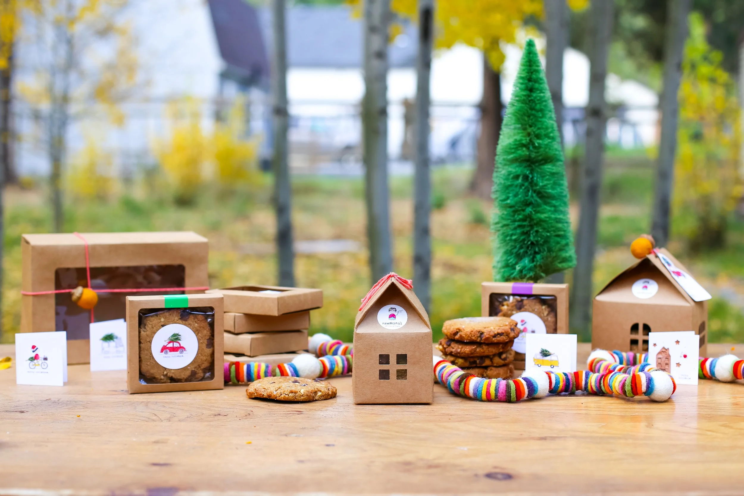 rawmona's kitchen - holiday cabin - gluten free cookie boxes-03.jpg
