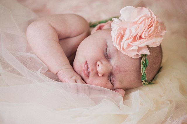 What a perfect Saturday spent photographing this sweet girl! Welcome to the world Olivia!
&bull;
&bull;
&bull;
&bull;
&bull;
&bull;
#portlandnewbornphotographer #portraitcollective #makeportraits #portlandphotographer #portlandfamilyphotographer #pdx