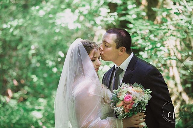 Heather &amp; Eric&rsquo;s wedding is on the blog this morning! Link in profile! 😍 #magnesstreefarm