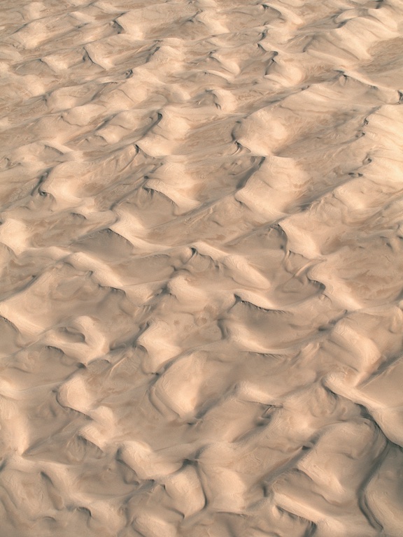 Sand dunes north of Lancelin, Western Australia, 2004.