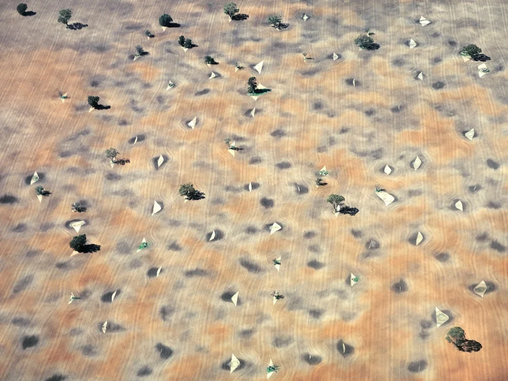 Plough patterns near Narrabri, New South Wales, 2004.