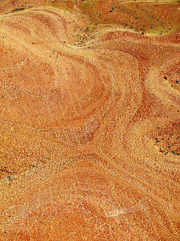 Spinifex landscape, Pilbara, Western Australia, 2005.