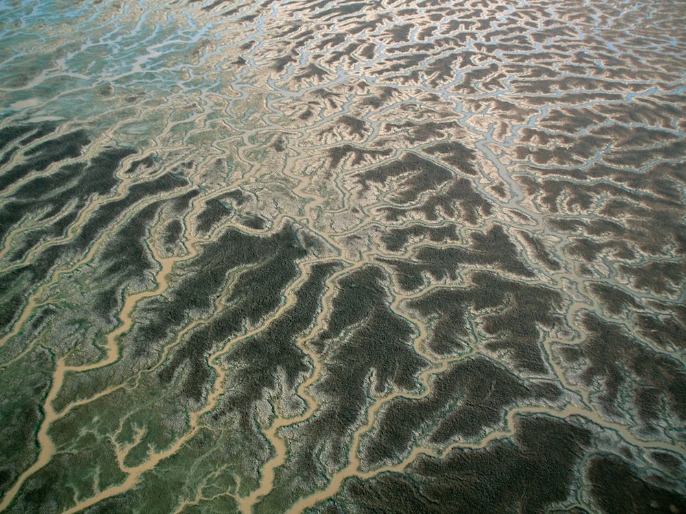 Strezlecki Desert, South Australia, 2005.